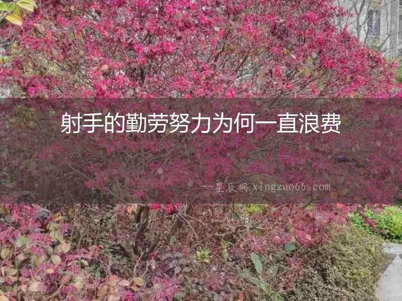 射手的勤勞努力為何一直浪費
