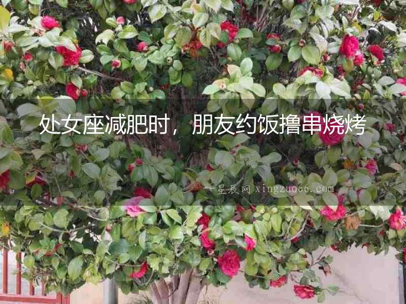 處女座減肥時，朋友約飯擼串燒烤