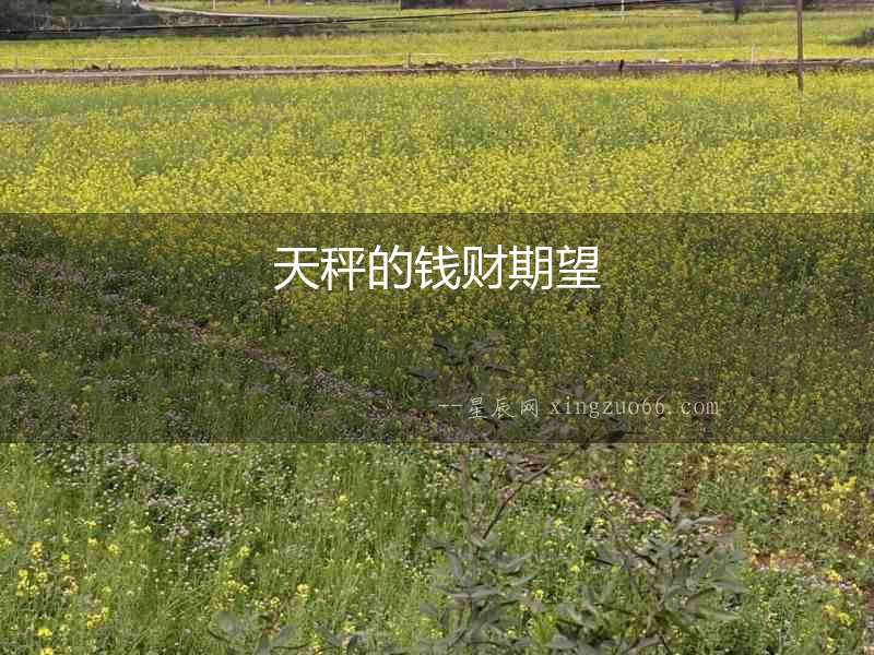 天秤的錢財(cái)期望