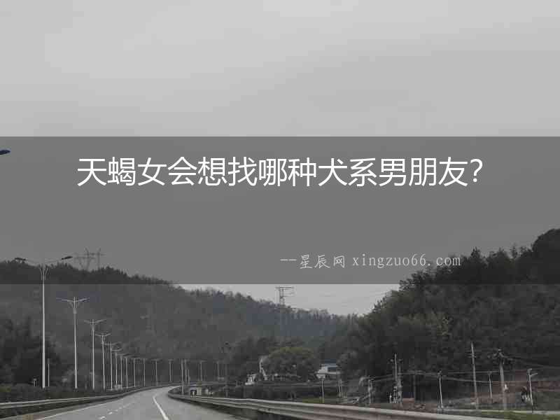 天蝎女會想找哪種犬系男朋友？