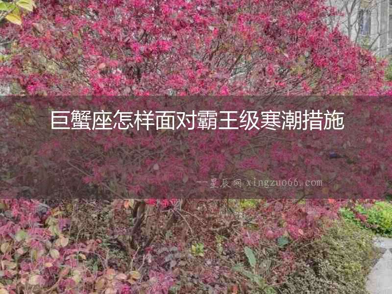 巨蟹座怎樣面對(duì)霸王級(jí)寒潮措施