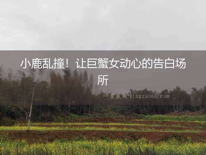 小鹿亂撞！讓巨蟹女動心的告白場所