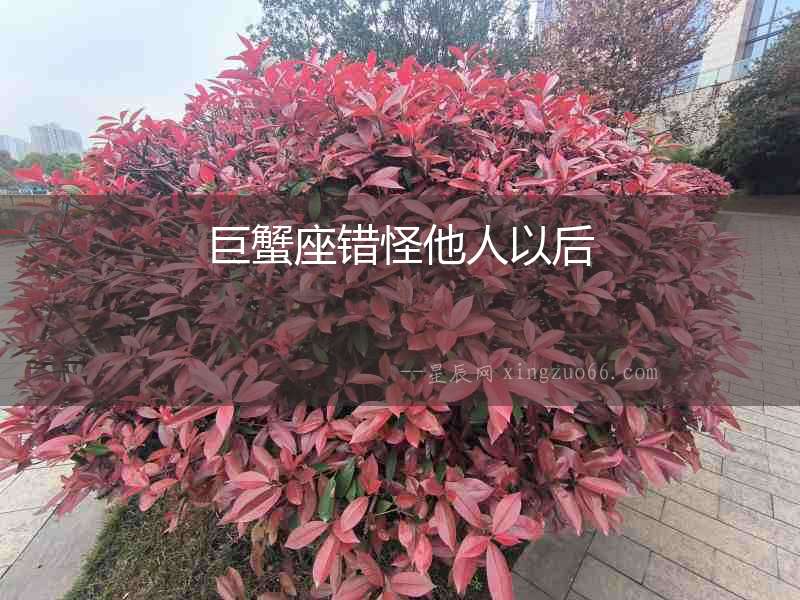 巨蟹座錯怪他人以后