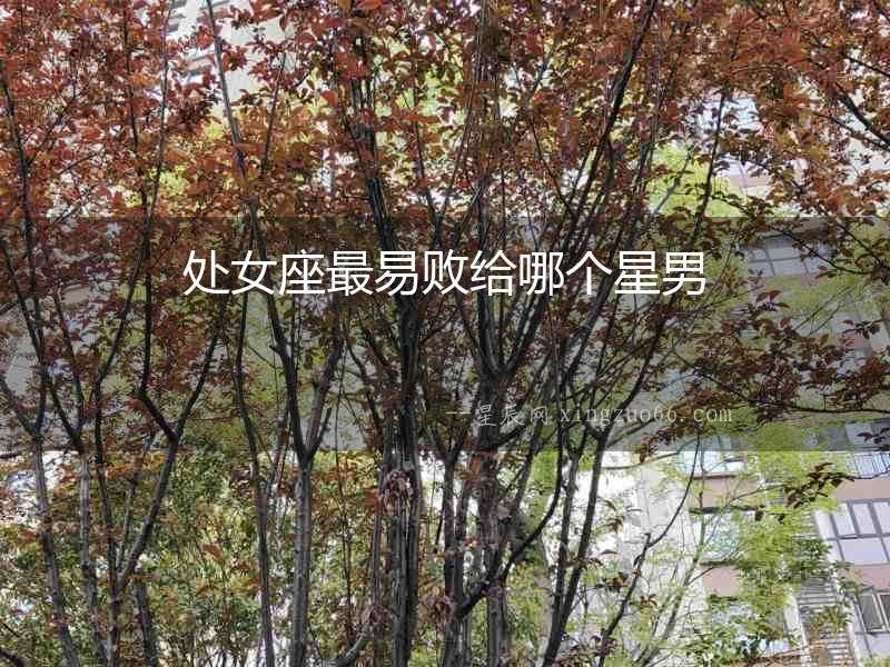處女座最易敗給哪個星男
