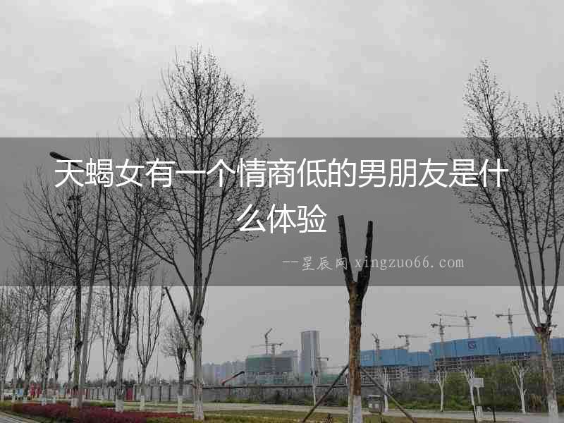 天蝎女有一個情商低的男朋友是什么體驗