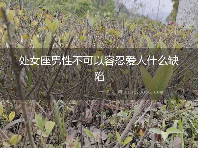 處女座男性不可以容忍愛人什么缺陷