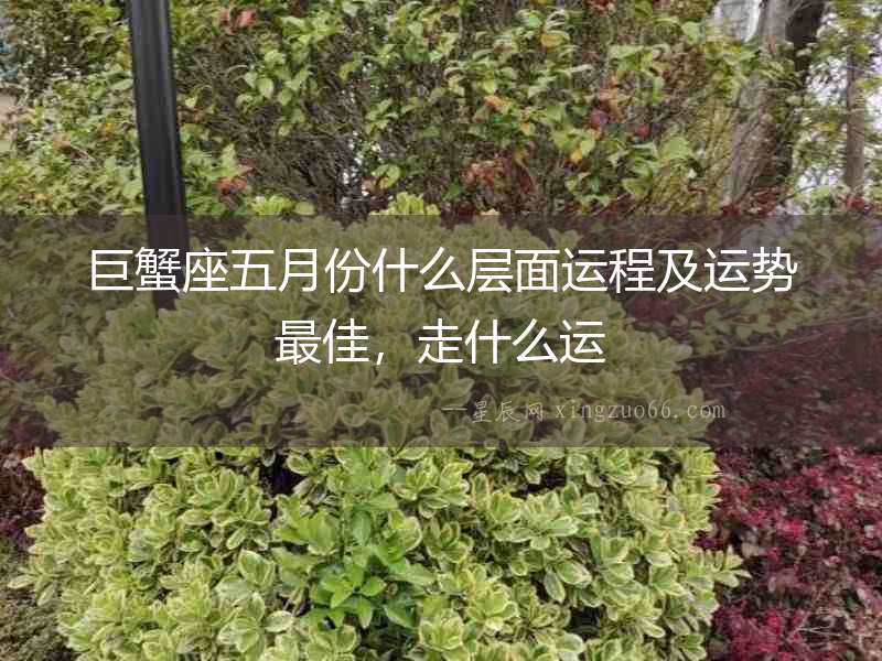 巨蟹座五月份什么層面運(yùn)程及運(yùn)勢(shì)最佳，走什么運(yùn)