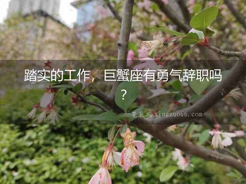 踏實的工作，巨蟹座有勇氣辭職嗎？