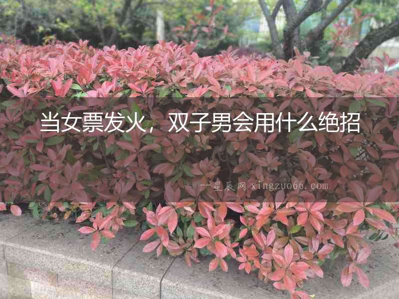 當女票發火，雙子男會用什么絕招