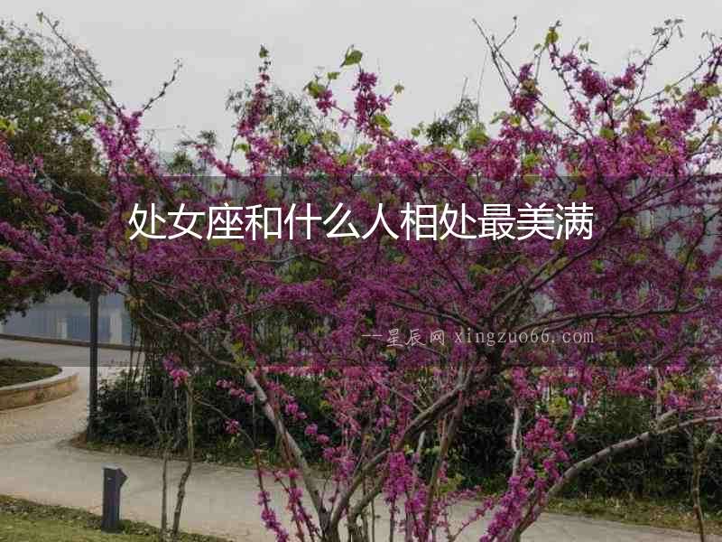 處女座和什么人相處最美滿