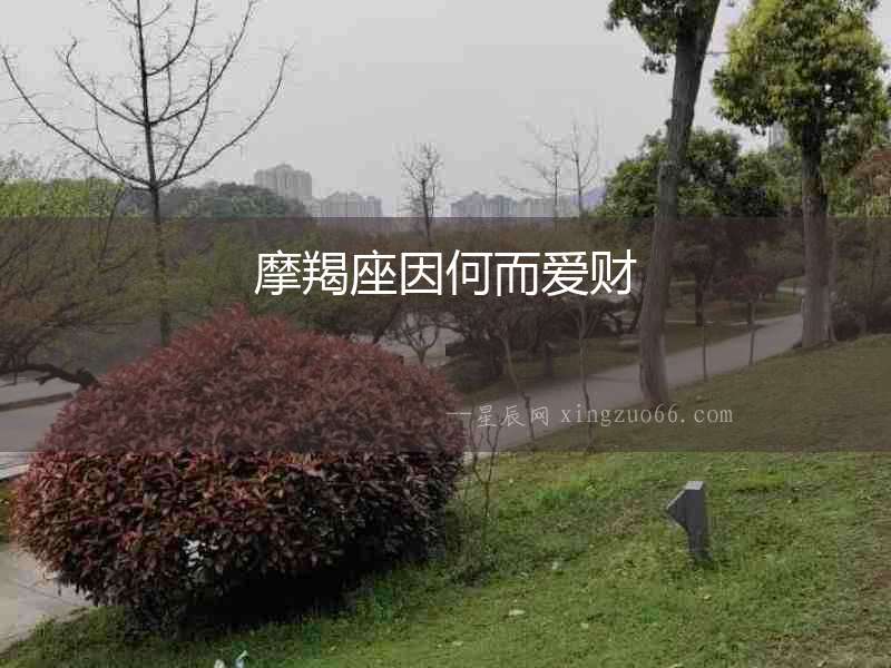 摩羯座因何而愛財