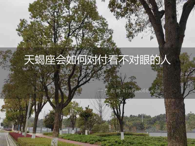 天蝎座會如何對付看不對眼的人