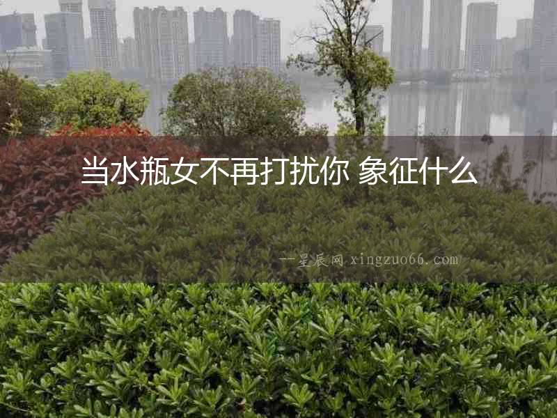 當水瓶女不再打擾你 象征什么