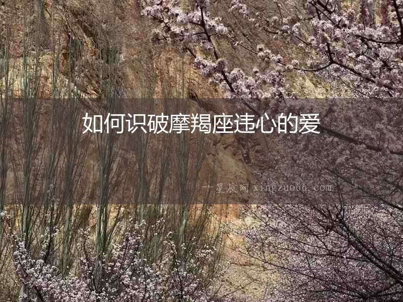 如何識破摩羯座違心的愛