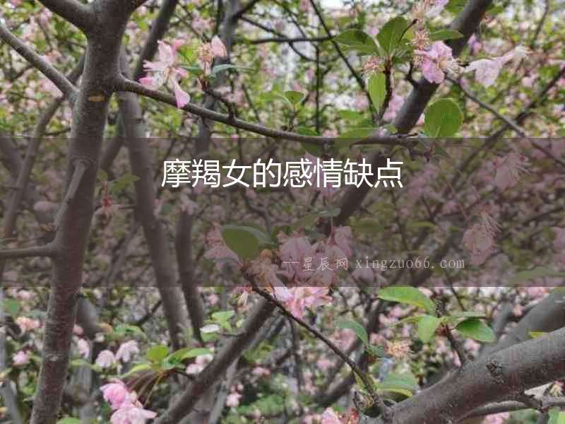 摩羯女的感情缺點(diǎn)