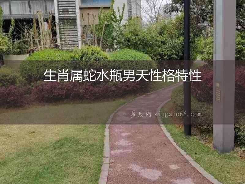 生肖屬蛇水瓶男天性格特性
