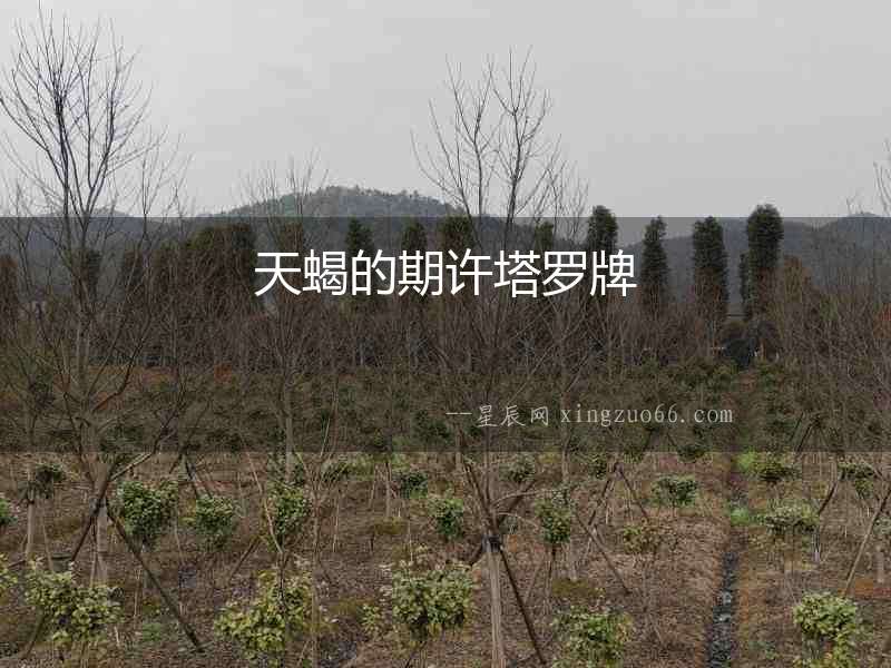 天蝎的期許塔羅牌