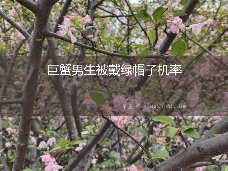 巨蟹男生被戴綠帽子機(jī)率