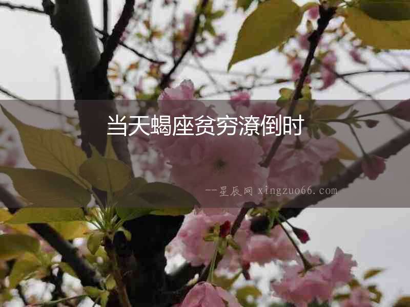 當天蝎座貧窮潦倒時