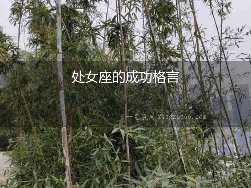 處女座的成功格言
