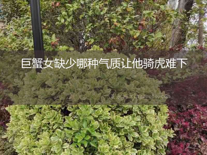 巨蟹女缺少哪種氣質(zhì)讓他騎虎難下