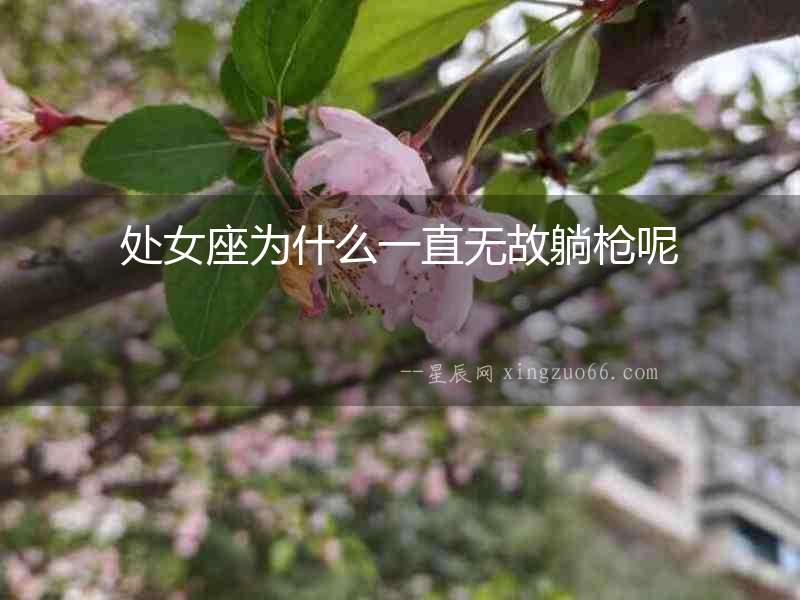 處女座為什么一直無故躺槍呢