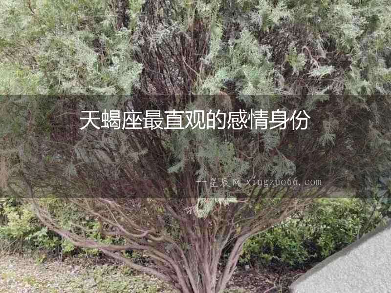 天蝎座最直觀的感情身份