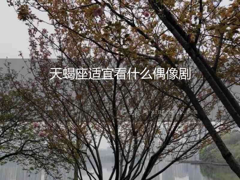 天蝎座適宜看什么偶像劇