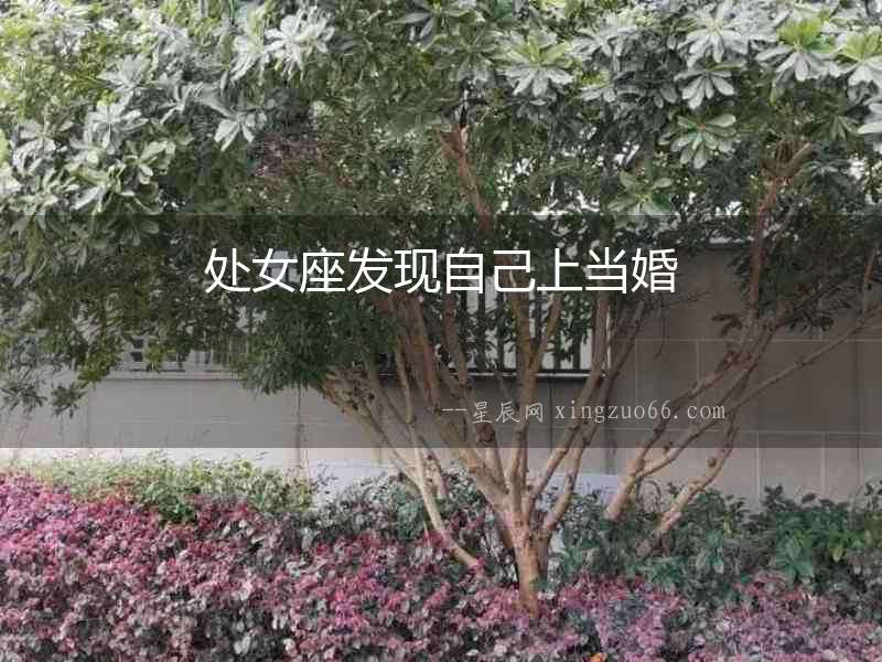 處女座發(fā)現(xiàn)自己上當婚