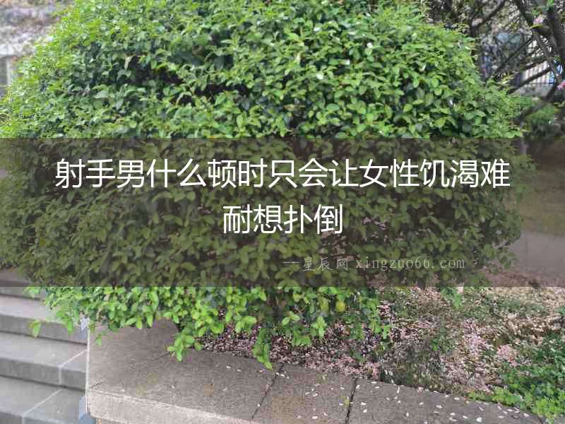 射手男什么頓時(shí)只會(huì)讓女性饑渴難耐想撲倒