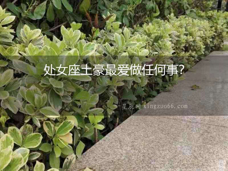 處女座土豪最愛(ài)做任何事？