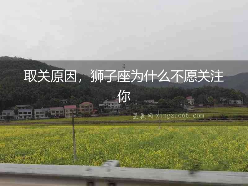 取關原因，獅子座為什么不愿關注你
