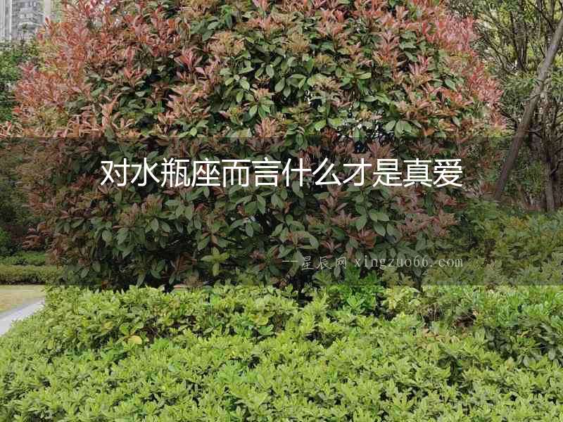對(duì)水瓶座而言什么才是真愛