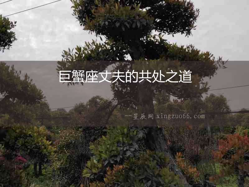 巨蟹座丈夫的共處之道