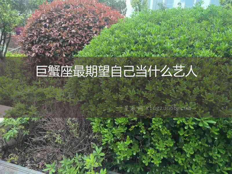 巨蟹座最期望自己當什么藝人