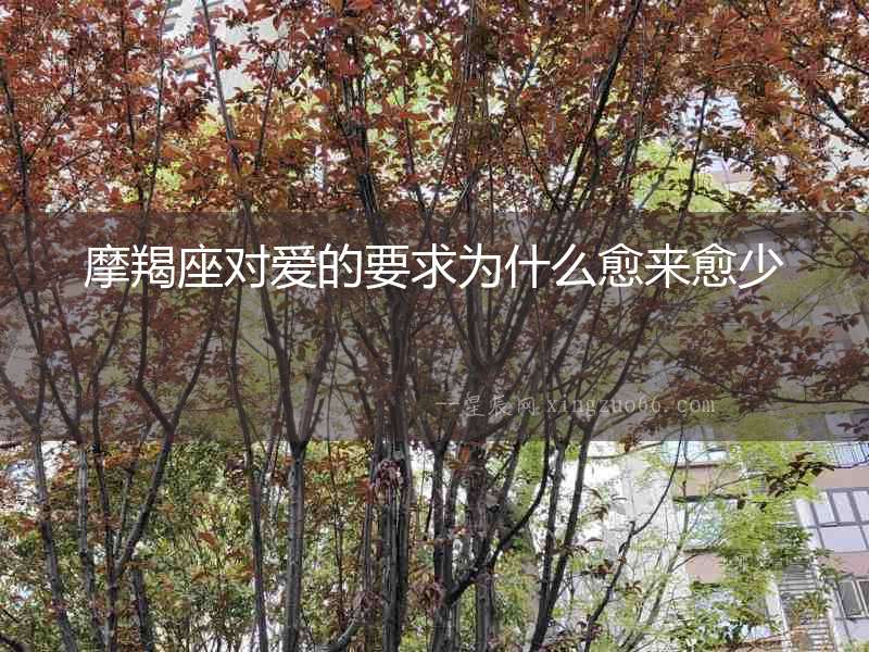 摩羯座對(duì)愛的要求為什么愈來愈少