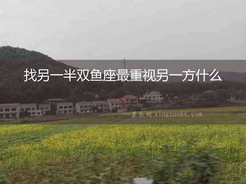 找另一半雙魚座最重視另一方什么