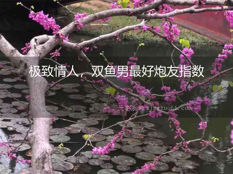 極致情人，雙魚男最好炮友指數