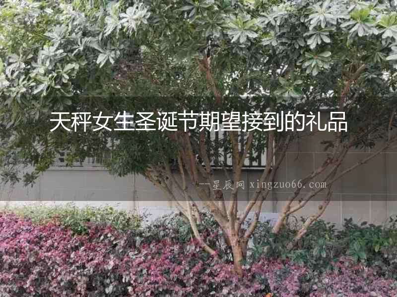 天秤女生圣誕節期望接到的禮品