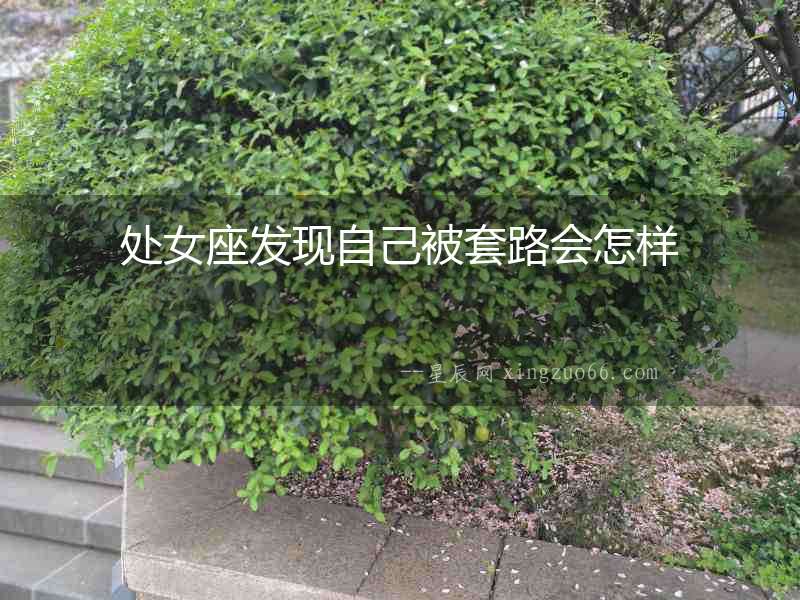 處女座發現自己被套路會怎樣