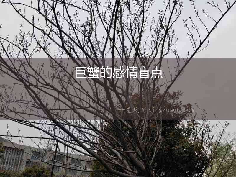 巨蟹的感情盲點(diǎn)