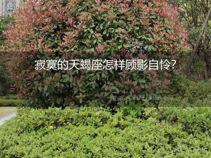 寂寞的天蝎座怎樣顧影自憐？
