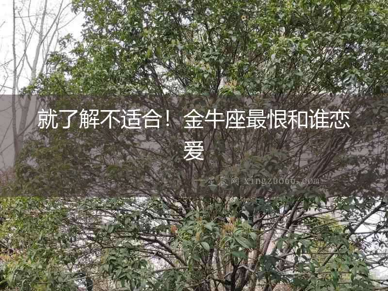 就了解不適合！金牛座最恨和誰戀愛