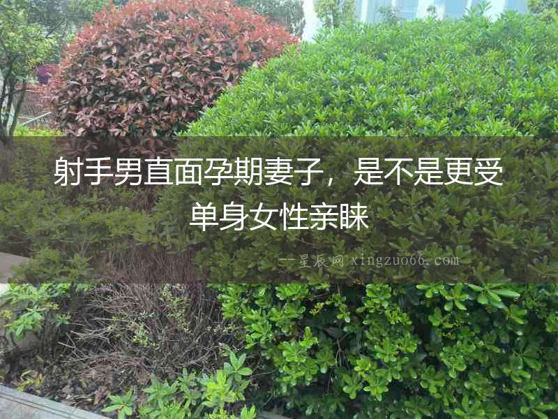 射手男直面孕期妻子，是不是更受單身女性親睞