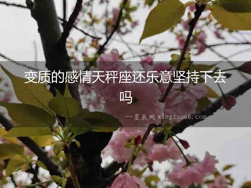 變質的感情天秤座還樂意堅持下去嗎