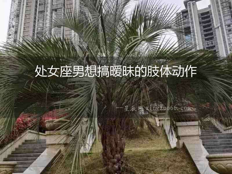 處女座男想搞曖昧的肢體動作