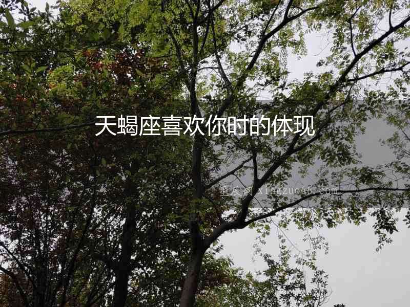 天蝎座喜歡你時的體現