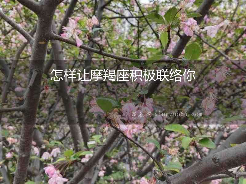 怎樣讓摩羯座積極聯絡你