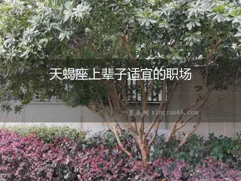 天蝎座上輩子適宜的職場