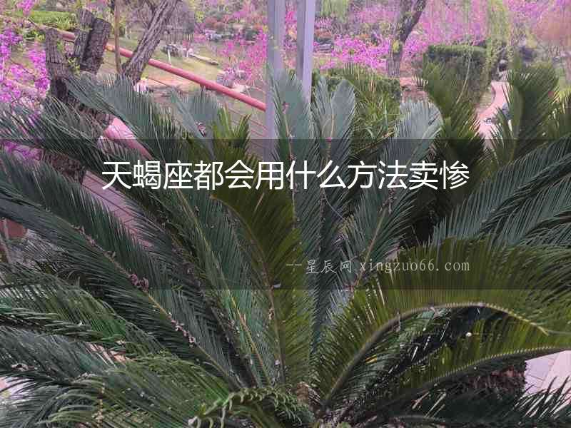天蝎座都會(huì)用什么方法賣慘